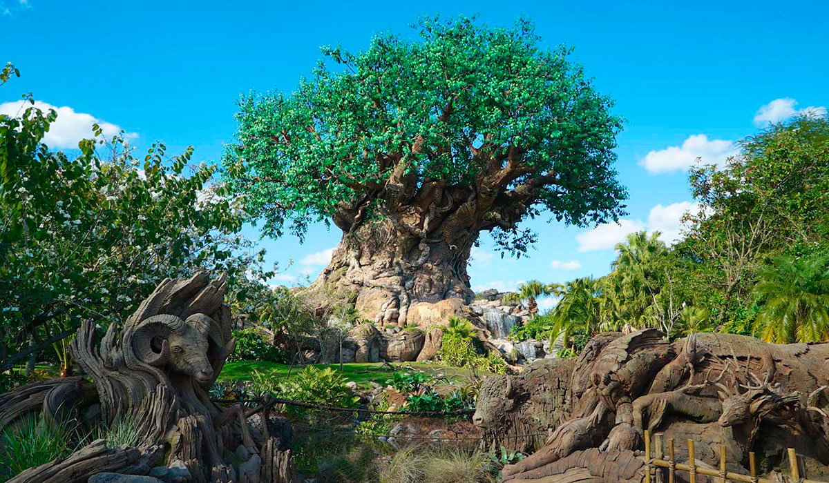 Animal Kingdom - Walt Disney World Florida background