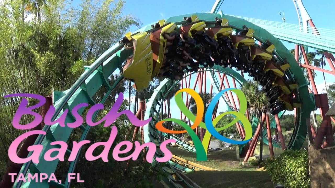 Busch Gardens Tampa background